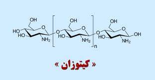 پاورپوینت نانو پلیمرهای زیست تخریب پذیر کیتوزان سیستمی دارو رسان